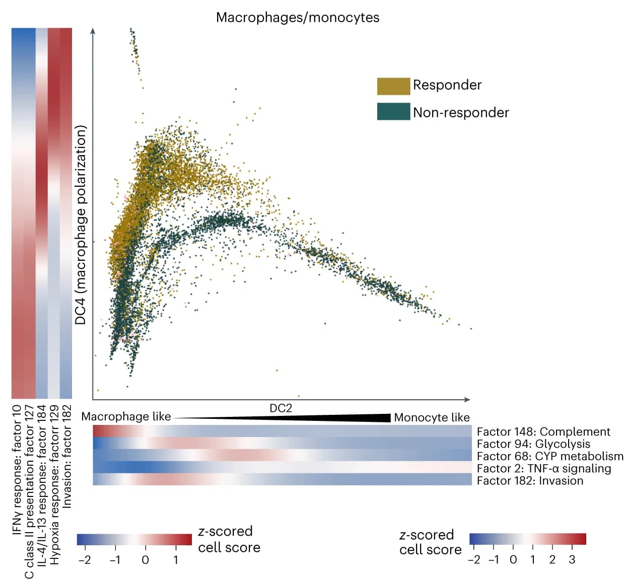 Open access visualization of Scatter Plot, Heatmap, Macrophage Cells, T Cell Expansion, Heatmaps