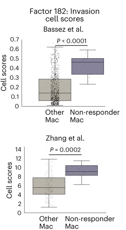 Open access visualization of Box Plot, Raincloud Plot, Cell Scores, Macrophage Neighborhoods, Breast Cancer Datasets