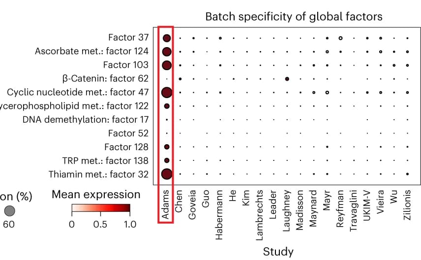 Open access visualization of Bubble Plot, Heatmap, Spectra Factors, Metabolism