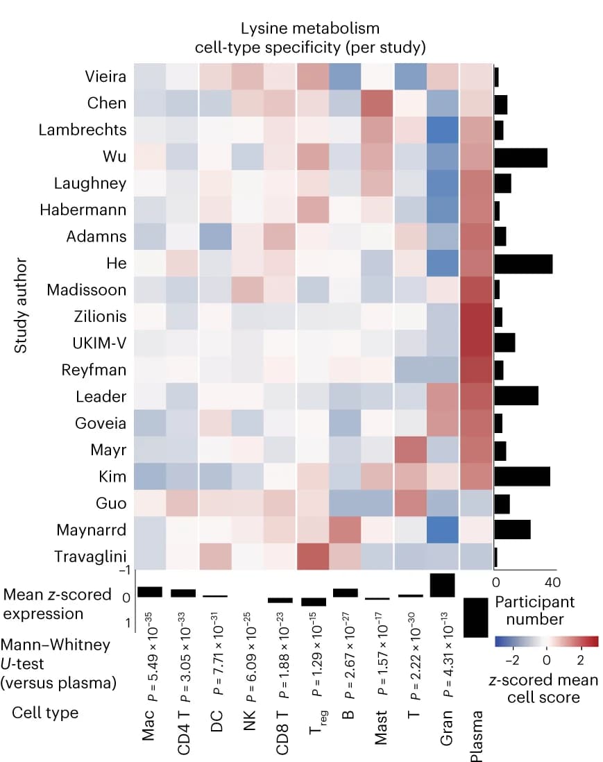 Open access visualization of Heatmap, Bar Plot, Cell Scores, Lysine Metabolism, Plasma Cells