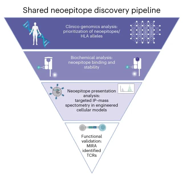 Open access visualization of Workflow, Flowchart, Neoepitope Discovery Pipeline