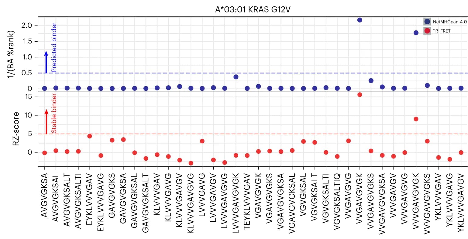 Open access visualization of Scatter Plot, TR-FRET Results, KRAS G12V/A*03:01, NetMHC BA Percentile Rank, RZ-score
