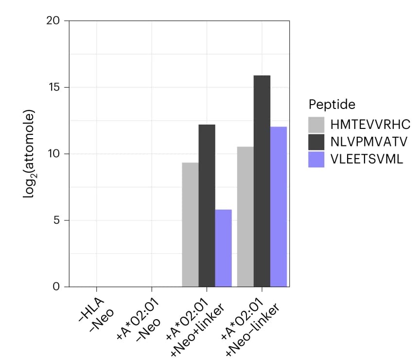 Open access visualization of Clustered, Bar Plot, Immunopeptidomics, Neoepitope, Control Peptides