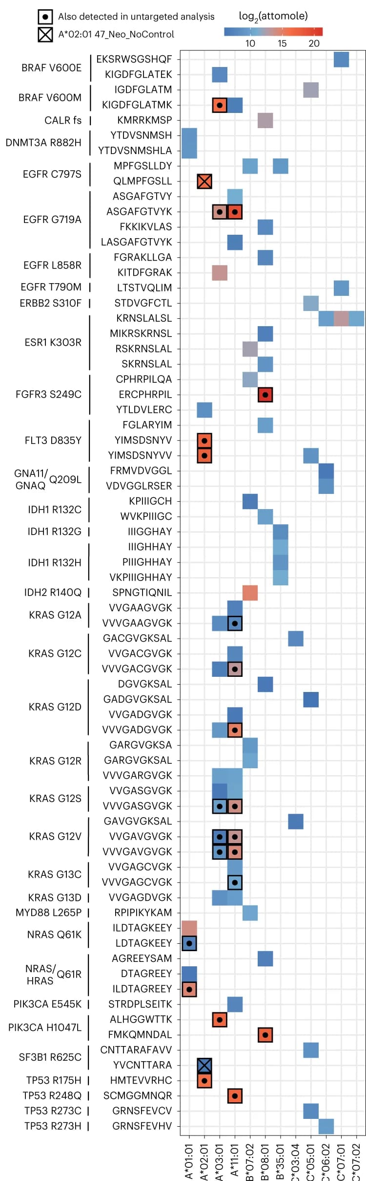 Open access visualization of Heatmap, NeoepitopeHLA Pairs, Shared Cancer Neoantigens, Attomol, Untargeted Analysis