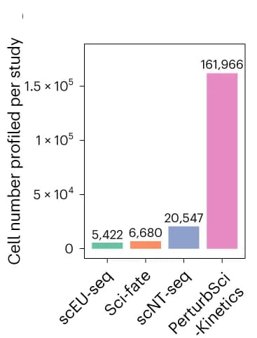 Open access visualization of Bar Plot, Cell Numbers, Single-cell RNA-seq, Metabolic Labeling