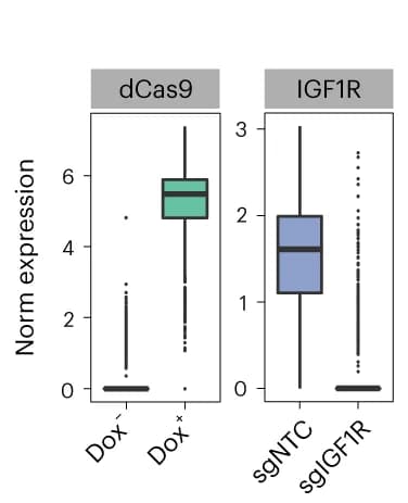 Open access visualization of Box Plot, Normalized Expression, dCas9-KRAB-MeCP2, HEK293-idCas9 cells, IGF1R
