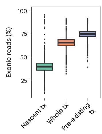 Open access visualization of Box Plot, Nascent Reads, Pre-existing Reads, Whole-Transcriptome Reads, Exons
