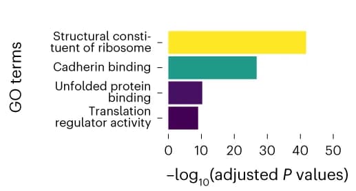 Open access visualization of Bar Plot, GO Terms, Genes, Nascent Reads, Fisher's Exact Test