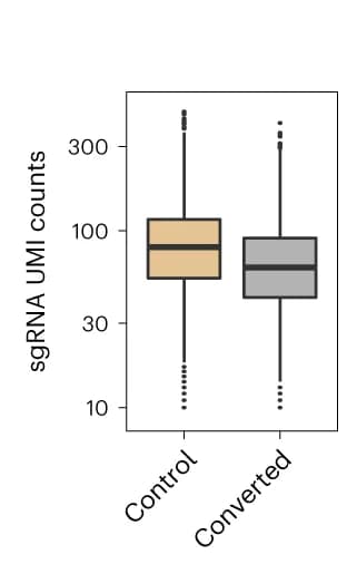 Open access visualization of Box Plot, sgRNA UMI Counts, Cells, Chemical Conversion