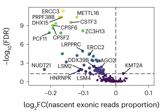 Open access visualization of Scatter Plot, Volcano Plot, Global Synthesis, NTC Cells