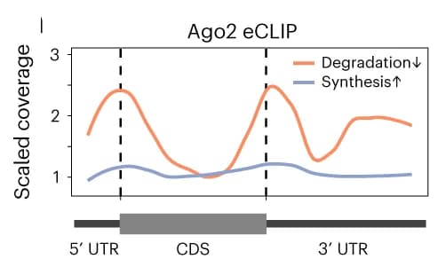 Open access visualization of Line Plot, AGO2, eCLIP, Protein-coding Genes