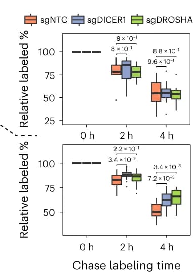 Open access visualization of Box Plot, mRNA, Transcription-regulated Genes, Degradation-regulated Genes, HEK293-idCas9-sgNTC
