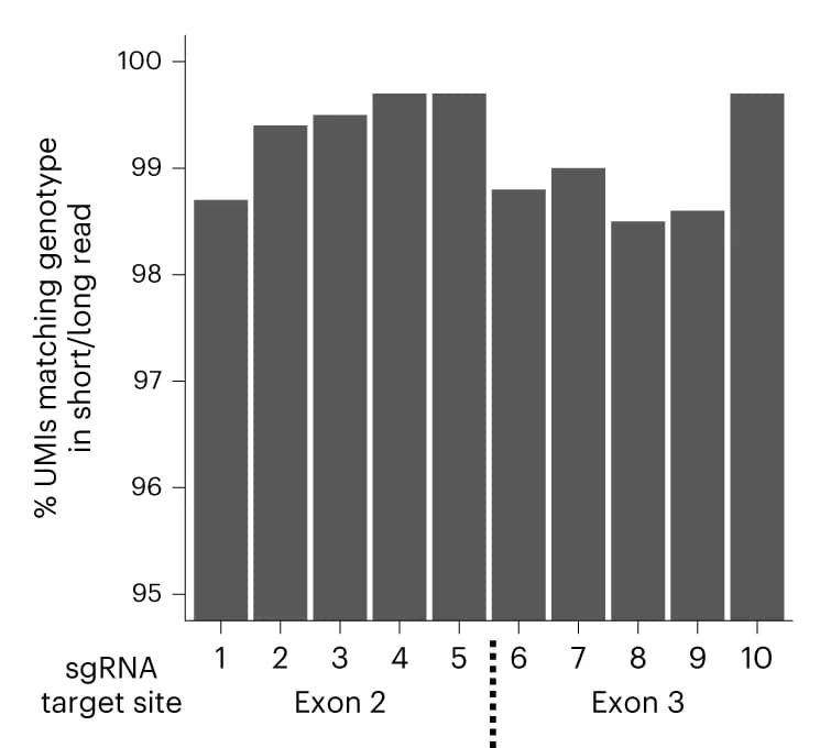 Open access visualization of Bar Plot, Mutation Calling, Long-Read Sequencing, sgRNA, UMI