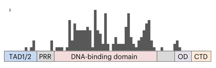 Open access visualization of Histogram, p53 Protein, sgRNA, Transactivation Domain, Proline-Rich Region