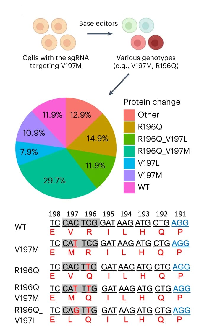 Open access visualization of Pie Chart, Illustration, Table Image, sgRNA, Genotypes