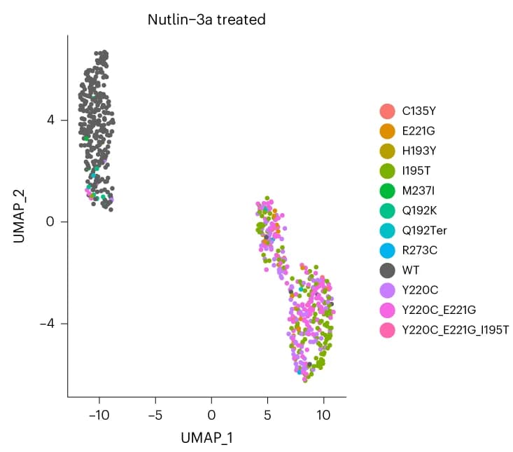 Open access visualization of Scatter Plot, UMAP, UMAP plots, Single-cell gene expression, Genetic variant