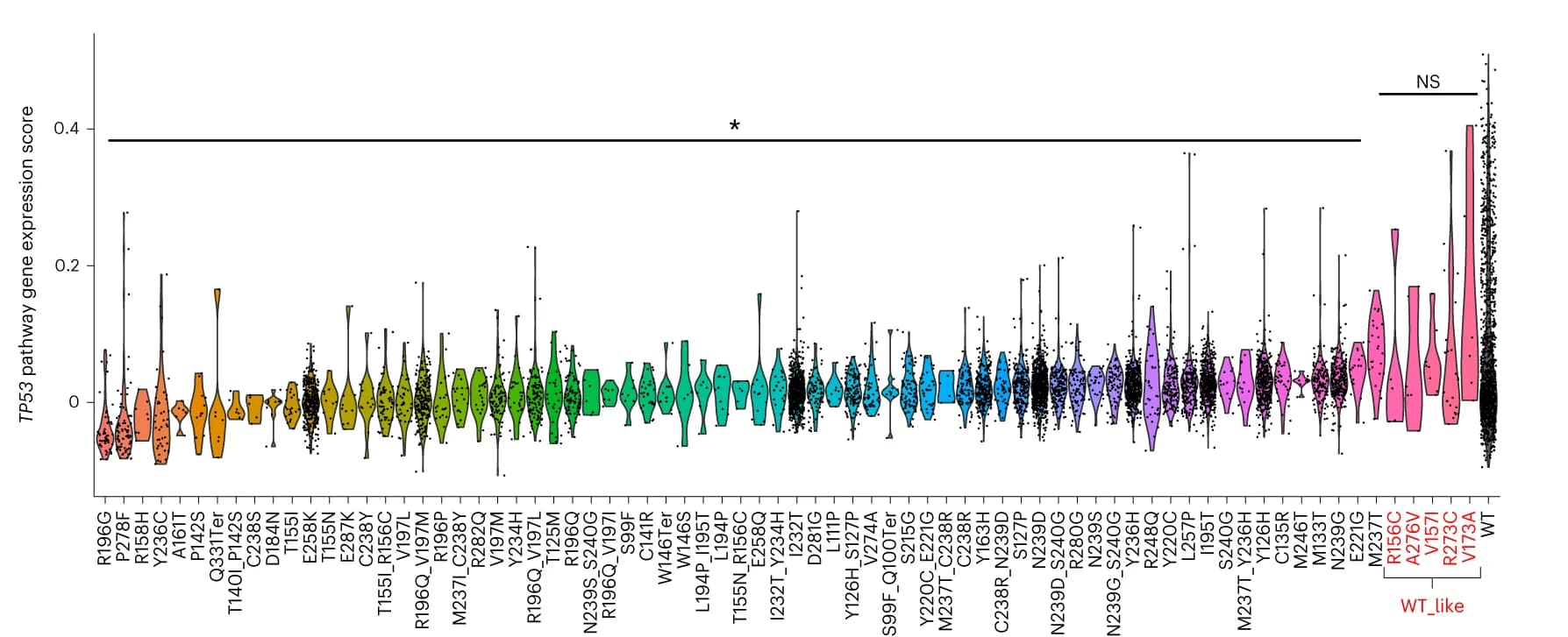Open access visualization of Violin Plot, Box Plot, Violin plots, p53 pathway, Gene score