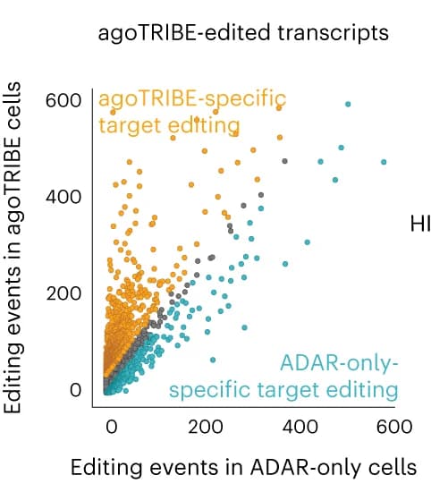 Open access visualization of Scatter Plot, Editing, agoTRIBE-transfected Cells, ADAR-only-transfected Cells, Genes