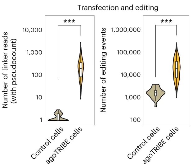 Open access visualization of Violin Plot, Box Plot, Linker Sequencing Reads, Editing Events, agoTRIBE-transfected Cells