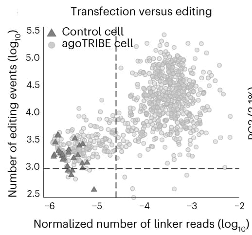 Open access visualization of Scatter Plot, Linker Reads, Editing Events, agoTRIBE Cells