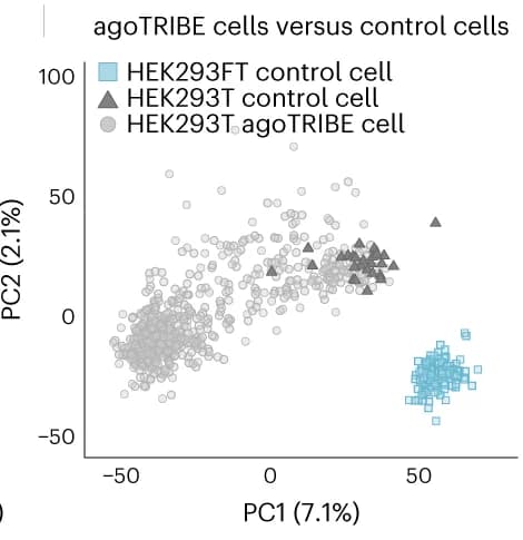 Open access visualization of Scatter Plot, PCA, Principal Component Analysis, agoTRIBE-transfected Cells, Control Cells
