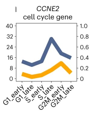 Open access visualization of Line Plot, Transcript Expression, miRNA Targeting, Cell Cycle, CCNB1