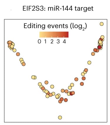 Open access visualization of Scatter Plot, Editing, agoTRIBE-transfected Cells, Differentiation, EIF2S3