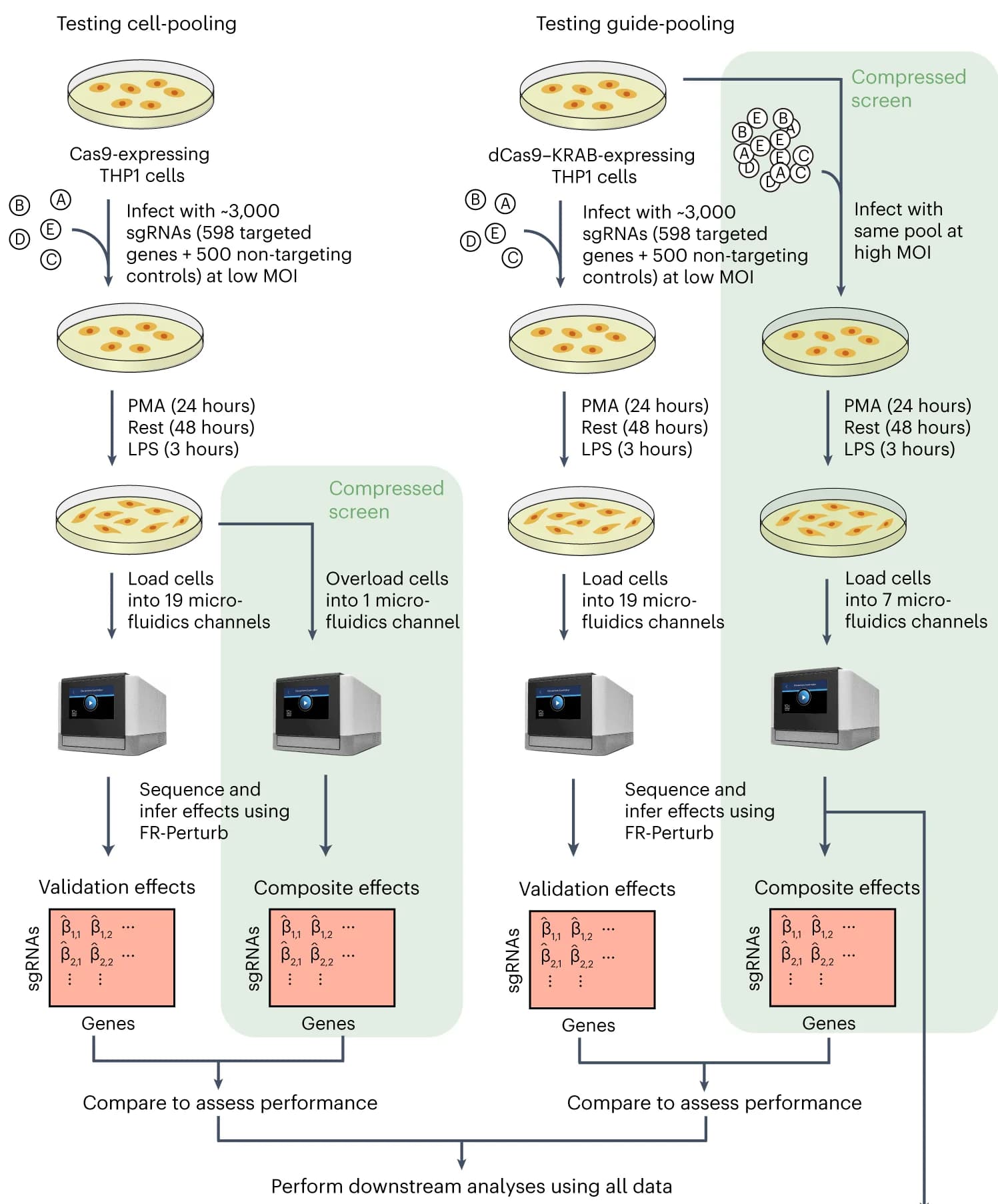 Open access visualization of Workflow, Flowchart, Illustration, Cell-pooling, Guide-pooling