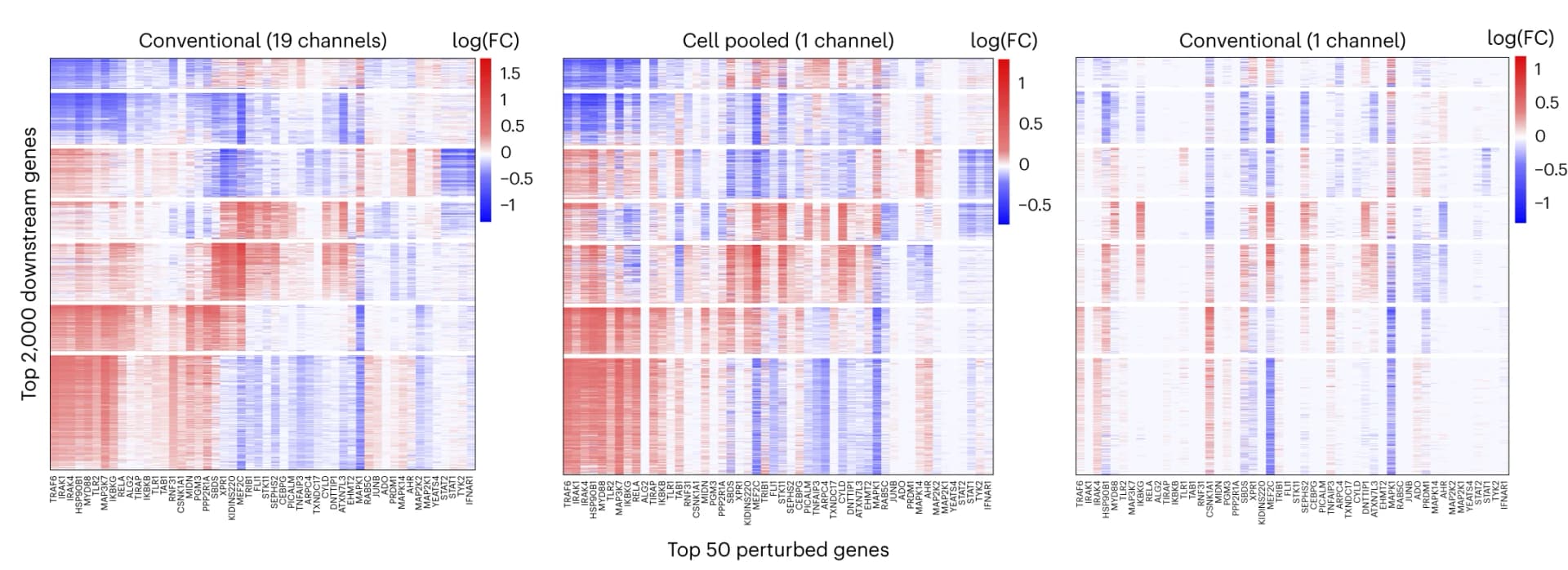 Open access visualization of Heatmap, Heat Maps, Effect Sizes, FR-Perturb, Conventional Screen