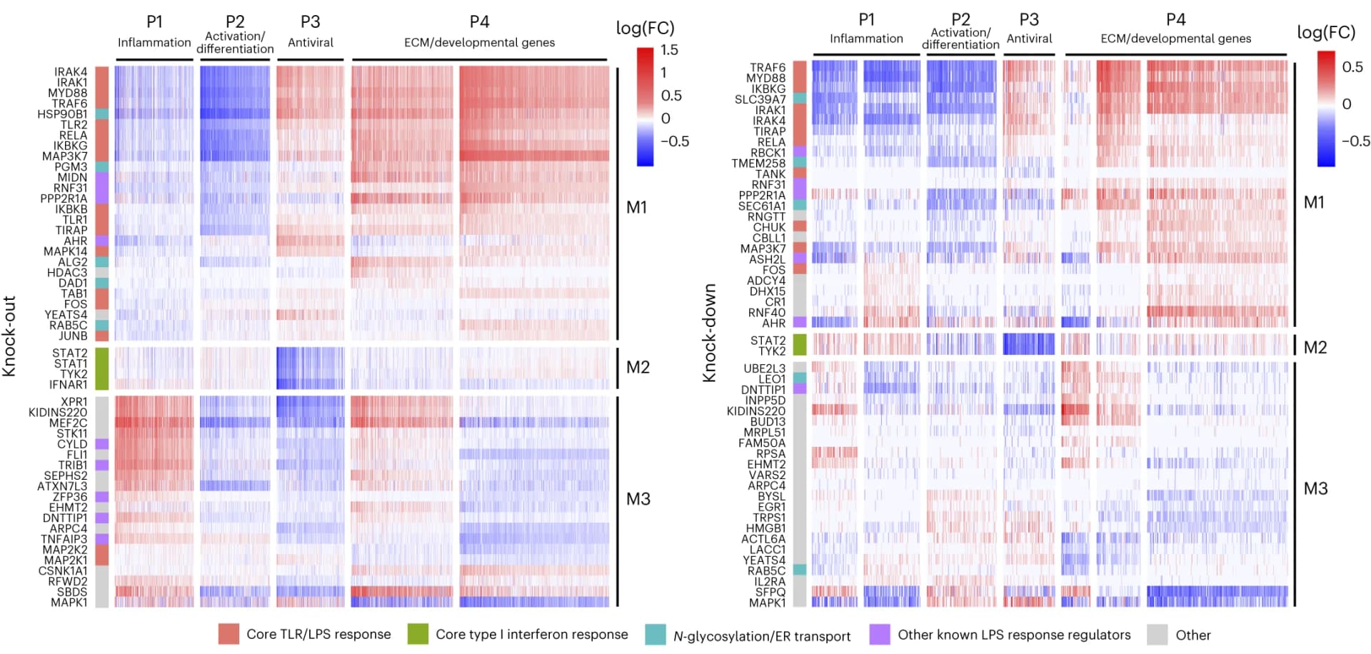 Open access visualization of Heatmap, Clustered, Heat Maps, Perturbation Effect Sizes, KO Screens