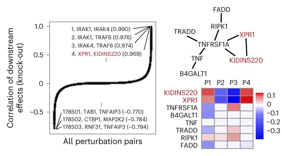 Open access visualization of Line Plot, Heatmap, Network, Correlation, KO Effect Sizes