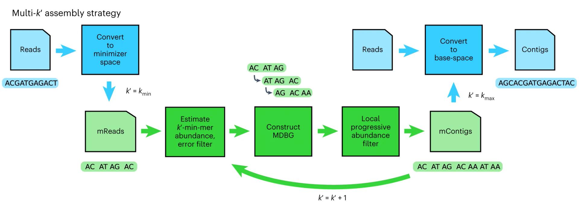 Open access visualization of Workflow, Flowchart, Illustration, Nucleotide Sequences, Minimizers