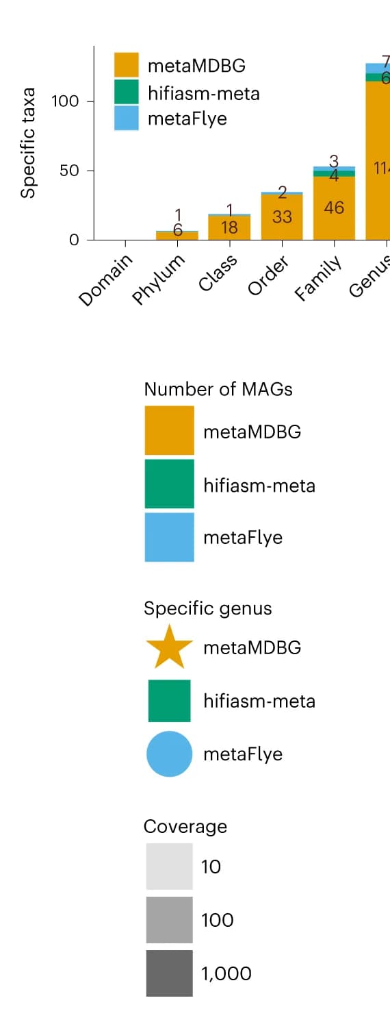 Open access visualization of Bar Plot, Stacked Bar Plot, Taxa, Assemblers, Unique Taxa
