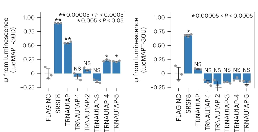 Open access visualization of Bar Plot, Error Bars, Bar Graphs, Reporter Assay, lucMAPT-30U