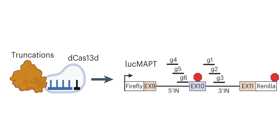 Open access visualization of Workflow, Flowchart, Illustration, Schematic, Truncation