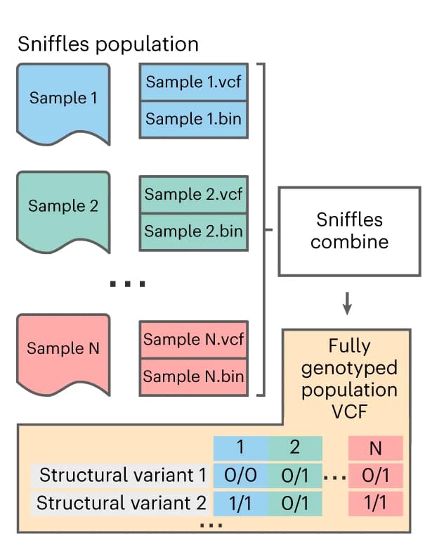 Open access visualization of Workflow, Flowchart, Illustration, Table Image, SV Calling