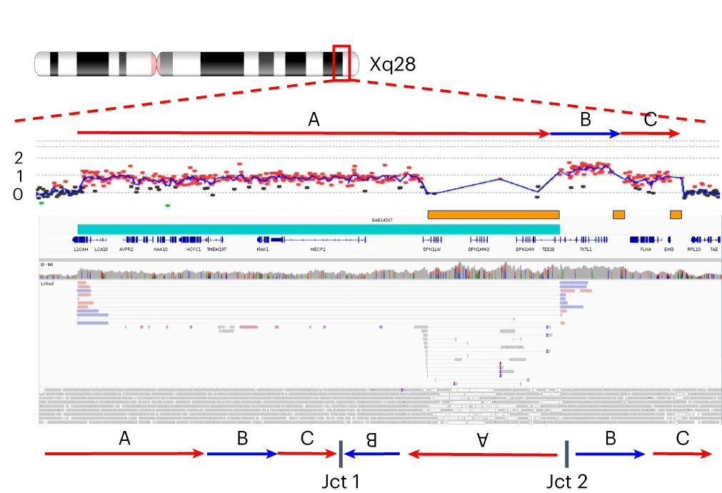 Open access visualization of Line Plot, Workflow, Duplication, Triplication, aCGH