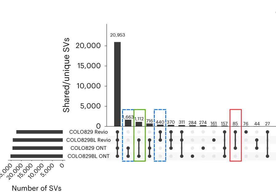 Open access visualization of Bar Plot, UpSet, Tumor, Normal, COLO829 Cell Line