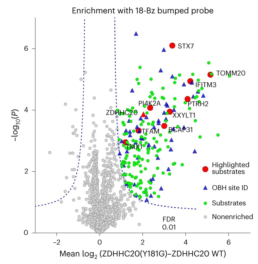 Open access visualization of Scatter Plot, Regression Plot, Chemical Proteomic, ZDHHC20, Substrates