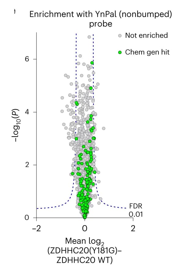 Open access visualization of Scatter Plot, S-Acylated Proteome, YnPal, HEK293T Cells, ZDHHC20