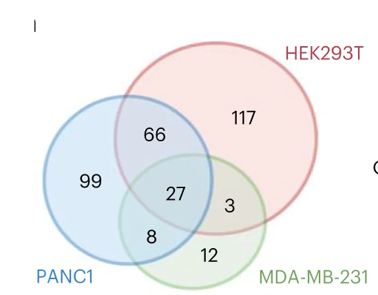 Open access visualization of Venn Diagram, ZDHHC20, Substrates, HEK293T Cells, MDA-MB231 Cells
