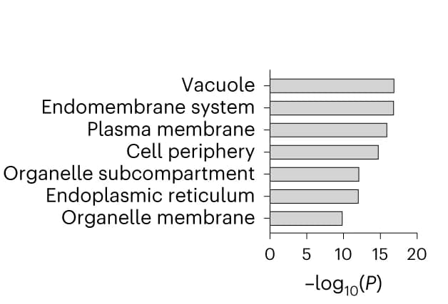 Open access visualization of Bar Plot, Statistical Overrepresentation Analysis, ZDHHC20, Substrate Cellular Compartment, GO Terms