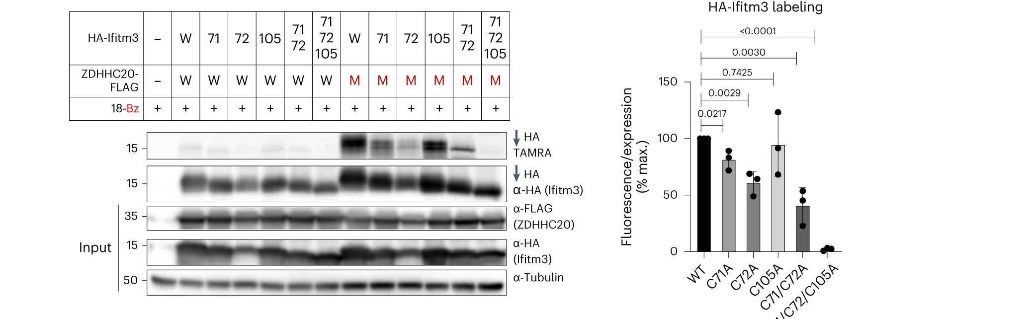 Open access visualization of Bar Plot, Error Bars, Gel, ZDHC20(Y181G), Cysteines