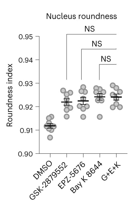 Open access visualization of Scatter Plot, Error Bars, GSK2879552, EPZ-5676, Bay K 8644
