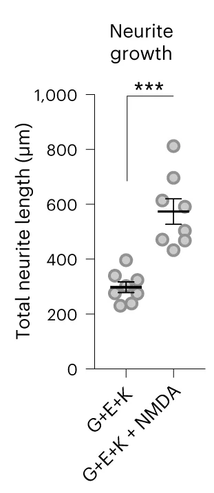 Open access visualization of Scatter Plot, Error Bars, Drug Combination, NMDA, Maturity Parameter