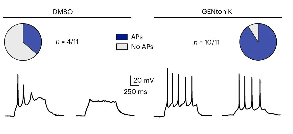 Open access visualization of Pie Chart, Line Plot, GENtoniK, hPSC Neurons, Excitability
