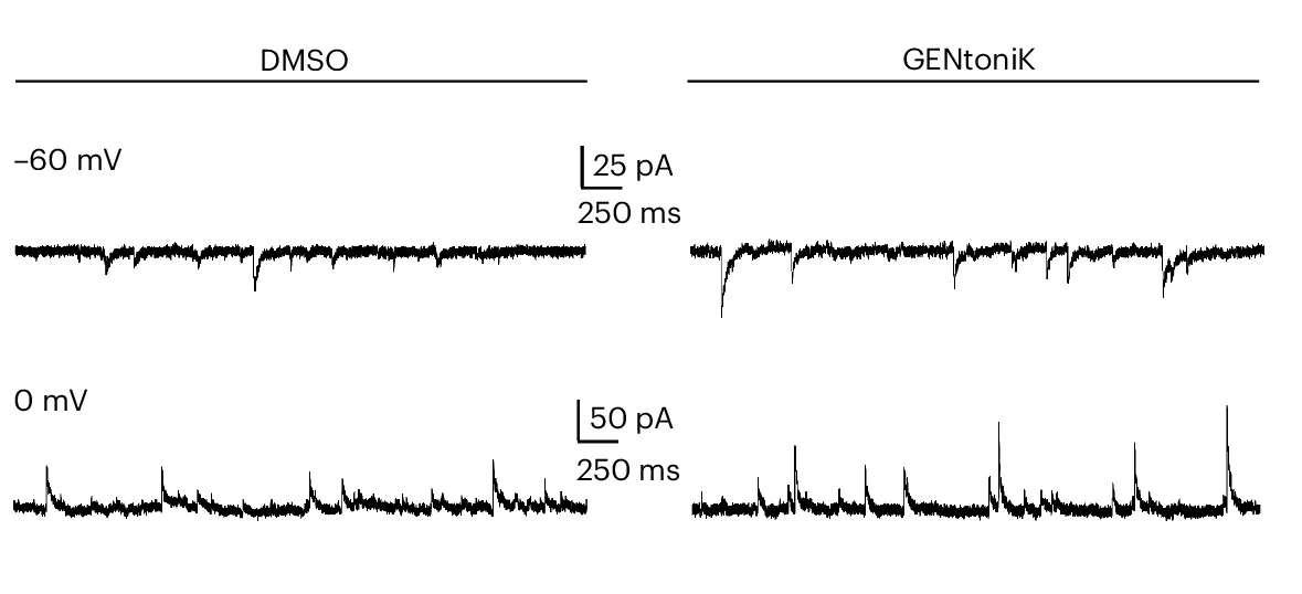 Open access visualization of Line Plot, GENtoniK, hPSC Neurons, sEPSCs, Amplitude