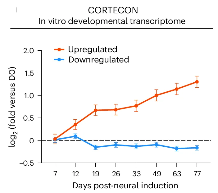 Open access visualization of Line Plot, Error Bars, GENtoniK, Gene Expression, CORTECON