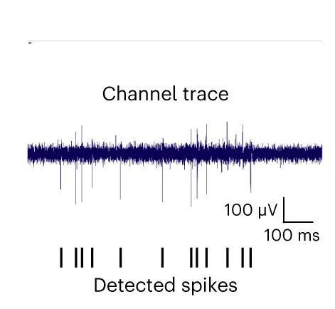 Open access visualization of Line Plot, Single-Channel Trace, GENtoniK, SMNs, Spike Detection