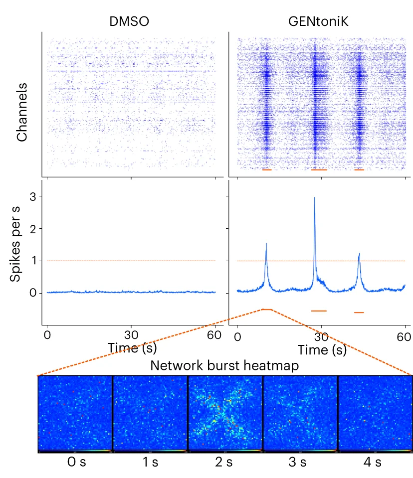Open access visualization of Scatter Plot, Line Plot, Heatmap, Spike Rastergrams, Firing Rates